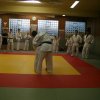 Judolehrgang Bodentechniken / SV / Treechallenge