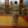 Judolehrgang Bodentechniken / SV / Treechallenge
