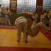 Judolehrgang Bodentechniken / SV / Treechallenge