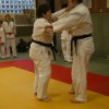 Judolehrgang Bodentechniken / SV / Treechallenge