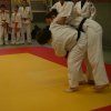 Judolehrgang Bodentechniken / SV / Treechallenge