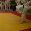 Judolehrgang Bodentechniken / SV / Treechallenge