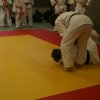 Judolehrgang Bodentechniken / SV / Treechallenge