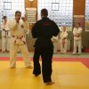 Judolehrgang Bodentechniken / SV / Treechallenge