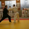Judolehrgang Bodentechniken / SV / Treechallenge