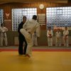Judolehrgang Bodentechniken / SV / Treechallenge