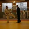 Judolehrgang Bodentechniken / SV / Treechallenge