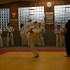 Judolehrgang Bodentechniken / SV / Treechallenge