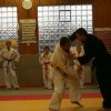 Judolehrgang Bodentechniken / SV / Treechallenge