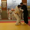 Judolehrgang Bodentechniken / SV / Treechallenge