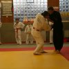 Judolehrgang Bodentechniken / SV / Treechallenge