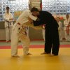Judolehrgang Bodentechniken / SV / Treechallenge