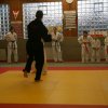 Judolehrgang Bodentechniken / SV / Treechallenge