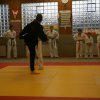 Judolehrgang Bodentechniken / SV / Treechallenge