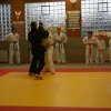 Judolehrgang Bodentechniken / SV / Treechallenge