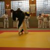 Judolehrgang Bodentechniken / SV / Treechallenge