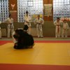 Judolehrgang Bodentechniken / SV / Treechallenge