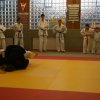 Judolehrgang Bodentechniken / SV / Treechallenge