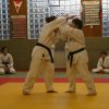 Judolehrgang Bodentechniken / SV / Treechallenge