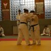 Judolehrgang Bodentechniken / SV / Treechallenge