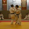 Judolehrgang Bodentechniken / SV / Treechallenge