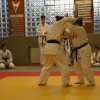 Judolehrgang Bodentechniken / SV / Treechallenge