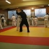 Judolehrgang Bodentechniken / SV / Treechallenge