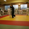 Judolehrgang Bodentechniken / SV / Treechallenge
