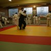 Judolehrgang Bodentechniken / SV / Treechallenge