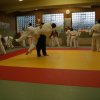 Judolehrgang Bodentechniken / SV / Treechallenge
