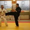 Judolehrgang Bodentechniken / SV / Treechallenge
