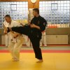 Judolehrgang Bodentechniken / SV / Treechallenge