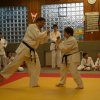 Judolehrgang Bodentechniken / SV / Treechallenge