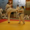 Judolehrgang Bodentechniken / SV / Treechallenge