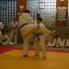 Judolehrgang Bodentechniken / SV / Treechallenge