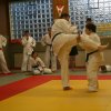 Judolehrgang Bodentechniken / SV / Treechallenge