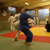 Judolehrgang Bodentechniken / SV / Treechallenge
