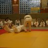 Judolehrgang Bodentechniken / SV / Treechallenge