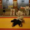 Judolehrgang Bodentechniken / SV / Treechallenge