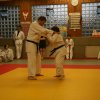 Judolehrgang Bodentechniken / SV / Treechallenge