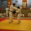 Judolehrgang Bodentechniken / SV / Treechallenge