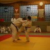 Judolehrgang Bodentechniken / SV / Treechallenge