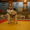 Judolehrgang Bodentechniken / SV / Treechallenge