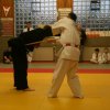 Judolehrgang Bodentechniken / SV / Treechallenge