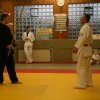 Judolehrgang Bodentechniken / SV / Treechallenge