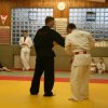 Judolehrgang Bodentechniken / SV / Treechallenge