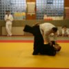 Judolehrgang Bodentechniken / SV / Treechallenge