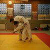 Judolehrgang Bodentechniken / SV / Treechallenge