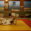 Judolehrgang Bodentechniken / SV / Treechallenge