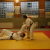Judolehrgang Bodentechniken / SV / Treechallenge